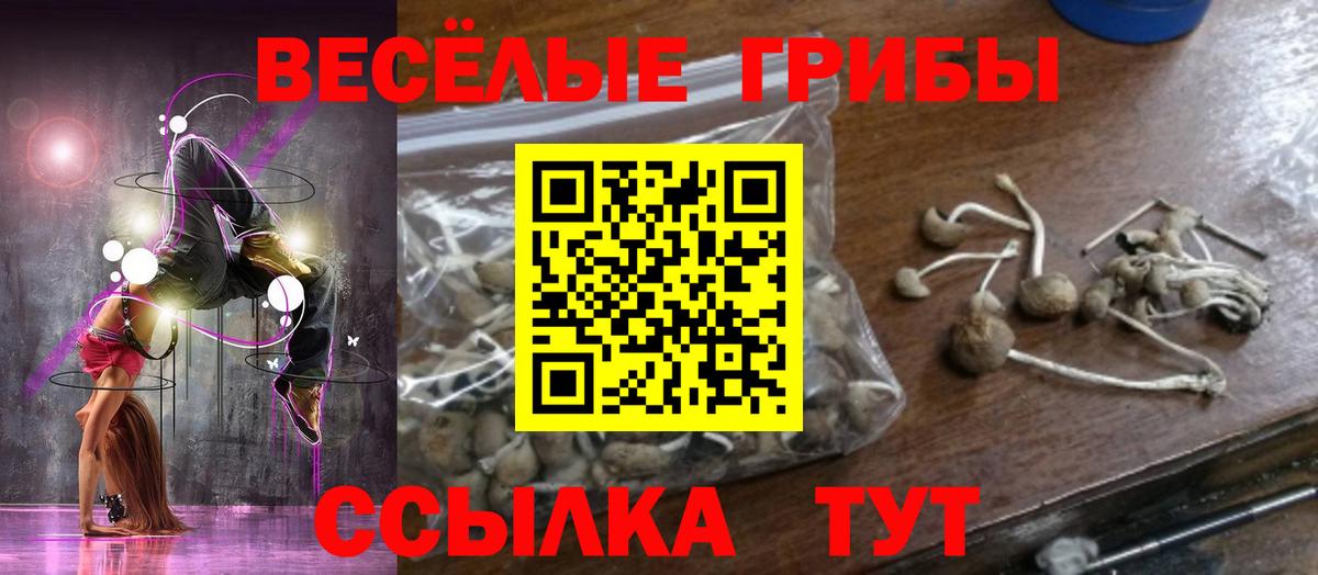 Псилоцибиновые грибы ЛСД  Псилоцибиновые грибы прущие грибы  Владивосток  Вход с VPN 
